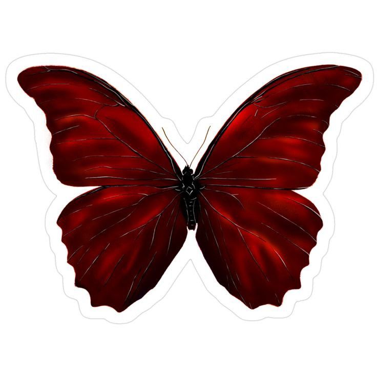 High Gloss Sticker S679