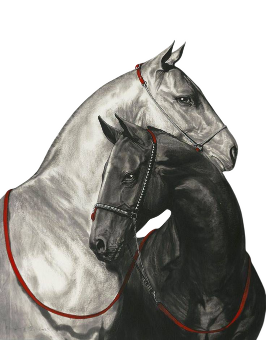 High Gloss Sticker S682